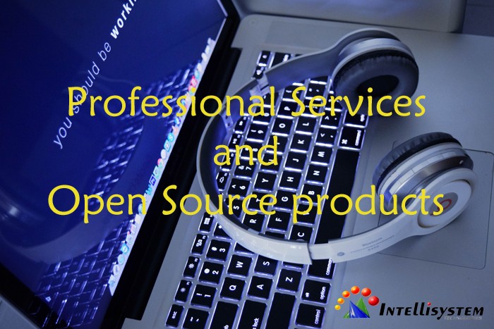 Servizi professionali e prodotti Open Source